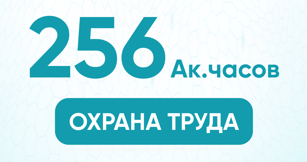 Профессиональная переподготовка. Охрана труда 256 ак. часов